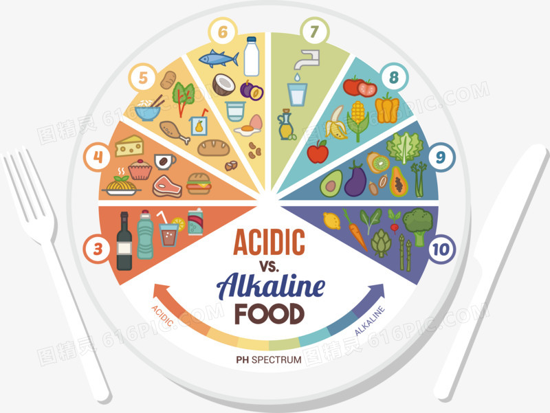 合理饮食矢量图