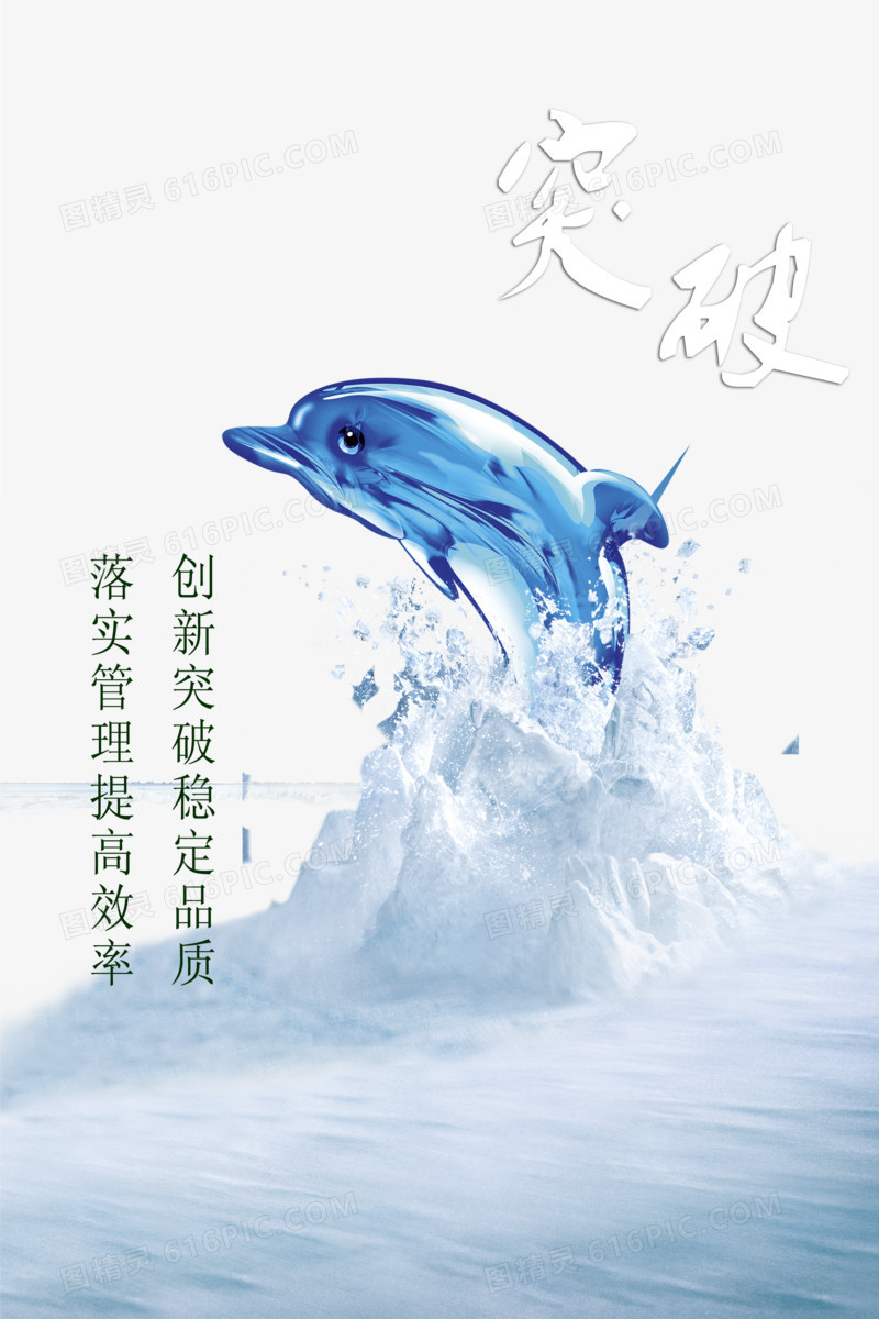 海中的海豚