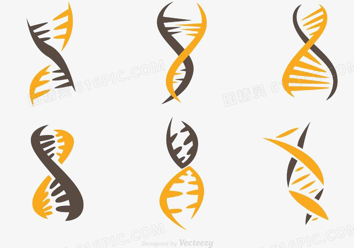 双人间螺旋图标矢量