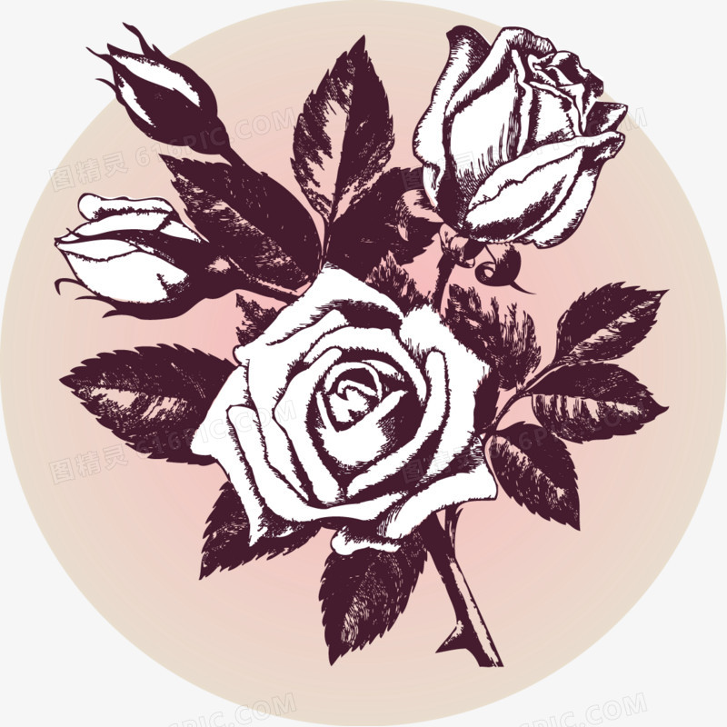 复古花纹圆形三只玫瑰