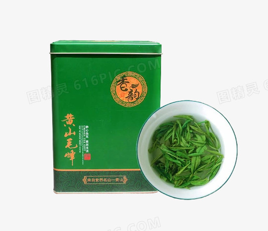 新茶叶绿茶