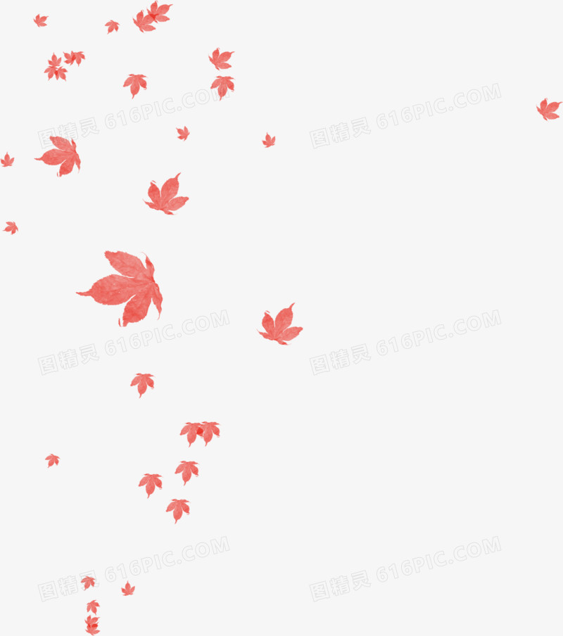 漂浮红色树叶