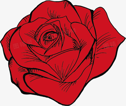 矢量红色玫瑰
