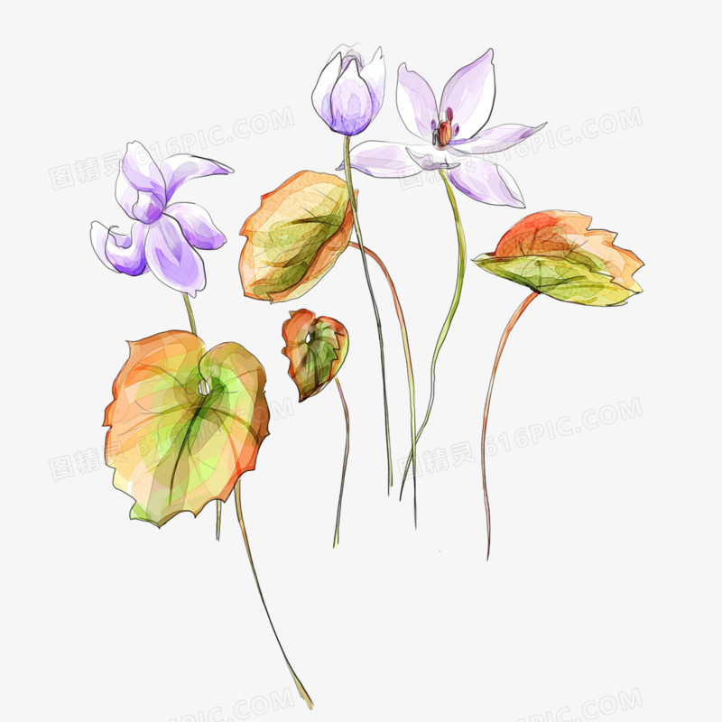花