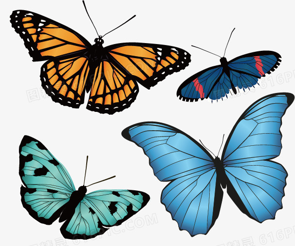 矢量手绘4只彩色蝴蝶