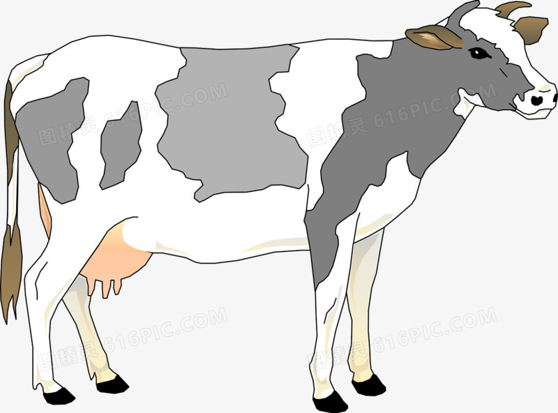 农场奶牛