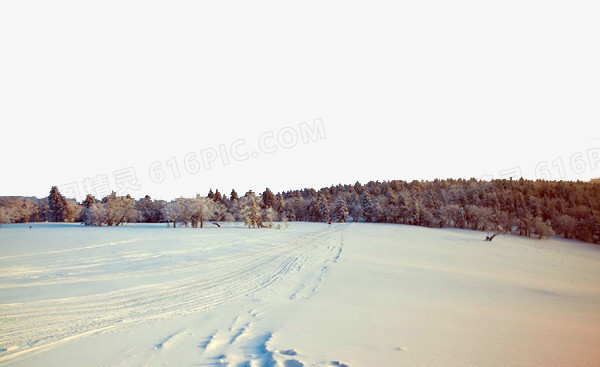 雪乡森林景色