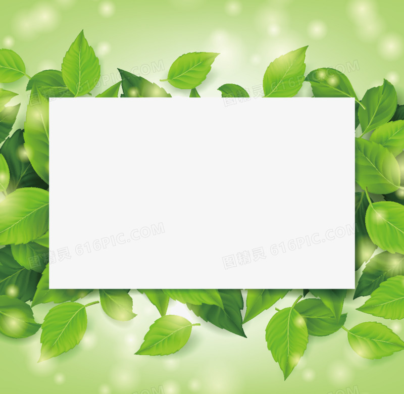 精美绿叶花纹边框设计矢量素材