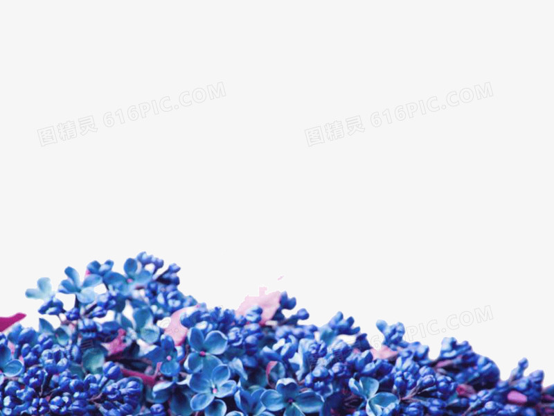 蓝紫色花ppt背景
