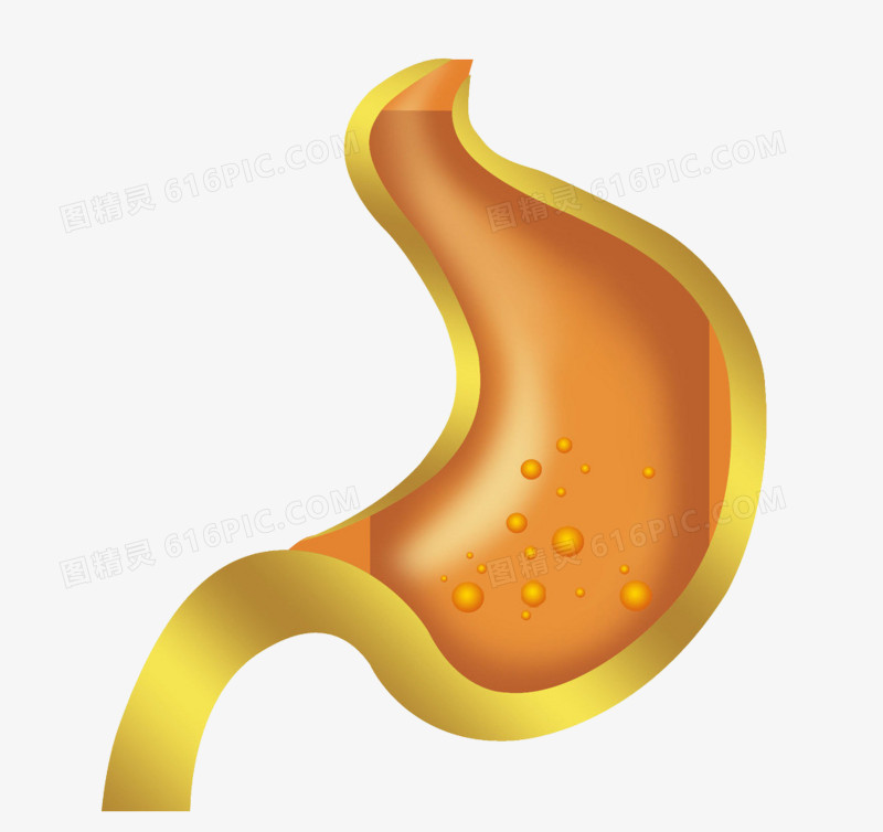 肠胃图