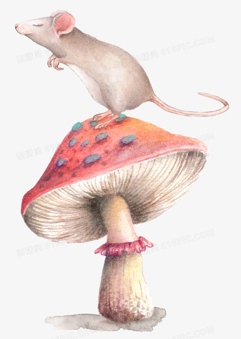 老鼠站在蘑菇上