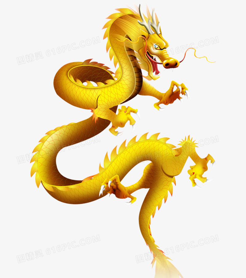 神龙素材
