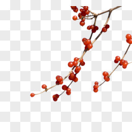 相思豆png中秋节书法:中秋相思pngai复古主题插画背景pngpng您是不是