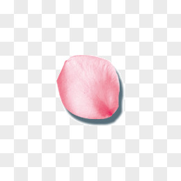 一片玫瑰花瓣