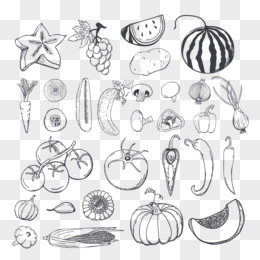 蔬菜水果黑白装饰画图片