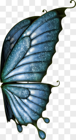 翅膀蝴蝶图片素材
