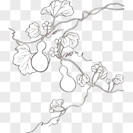 葫芦藤和叶子怎么画图片