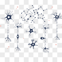 人体神经元pngai神经元细胞png手绘卡通神经元素材pngpsd人的神经元