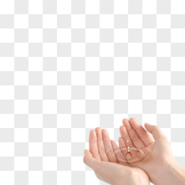 捧着
