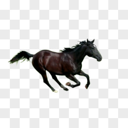 马图片马素描 奔跑的黑马