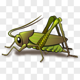 蟋蟀动漫图片头像图片