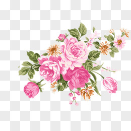 手绘蔷薇花