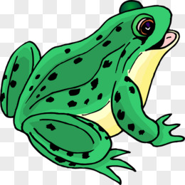 卡通青蛙边框免抠素材pngpsd绿色两栖动物蜥蜴png手绘可爱青蛙撑荷叶