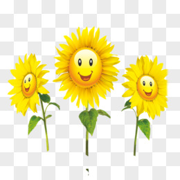 微小的太阳花免抠素材pngpsd图精灵为您提供精品向日葵笑脸图片素材