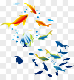 鱼纹彩图图片