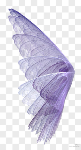 透明翅膀