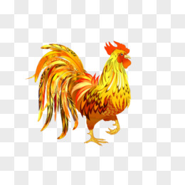 金色公鸡pngpng手绘彩色大公鸡pngai2017新年鸡年公鸡艺术字素材png