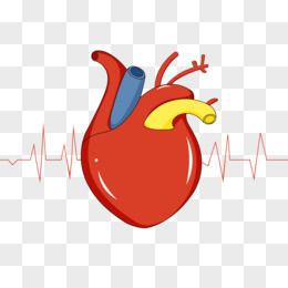 卡通人体内脏器官心脏免抠元素