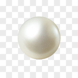 单个珍珠素材图片