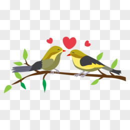 手绘爱情鸟相思鸟连理枝元素