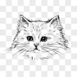 猫pngai猫头pngai可爱手绘素描吹喇叭的卡通猫咪png小猫动物png卡通