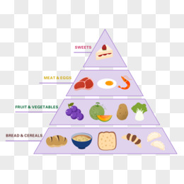 食物金字塔手绘图片