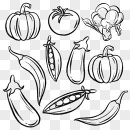 卡通手绘水果蔬菜简笔画底纹元素